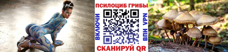 как найти закладки  Раменское  мега вход  Галлюциногенные грибы мицелий 