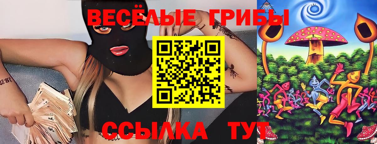 Раменское  Галлюциногенные грибы Magic Shrooms  Вход с VPN 