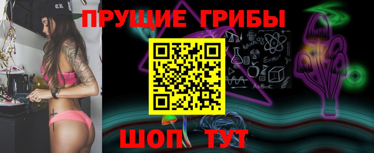 Псилоцибиновые грибы Psilocybe Раменское